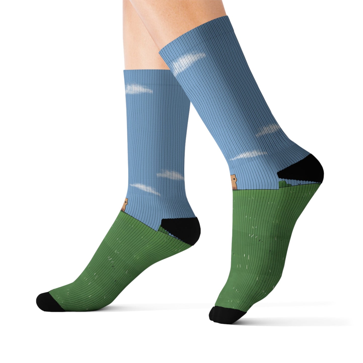 Novelty Socks for the Solitary Feline