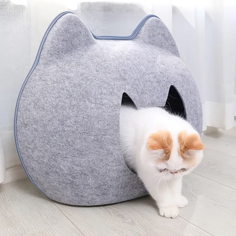 Pet Haven: Charming Feline-Shaped Shelter for Every Season