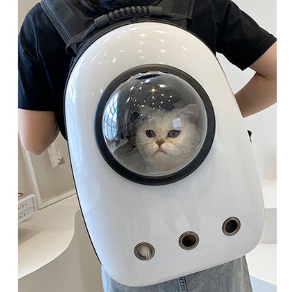 Hard Case Backpack for Traveling with Pets