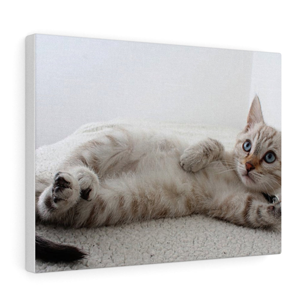 Charming Feline Canvas Wall Decor