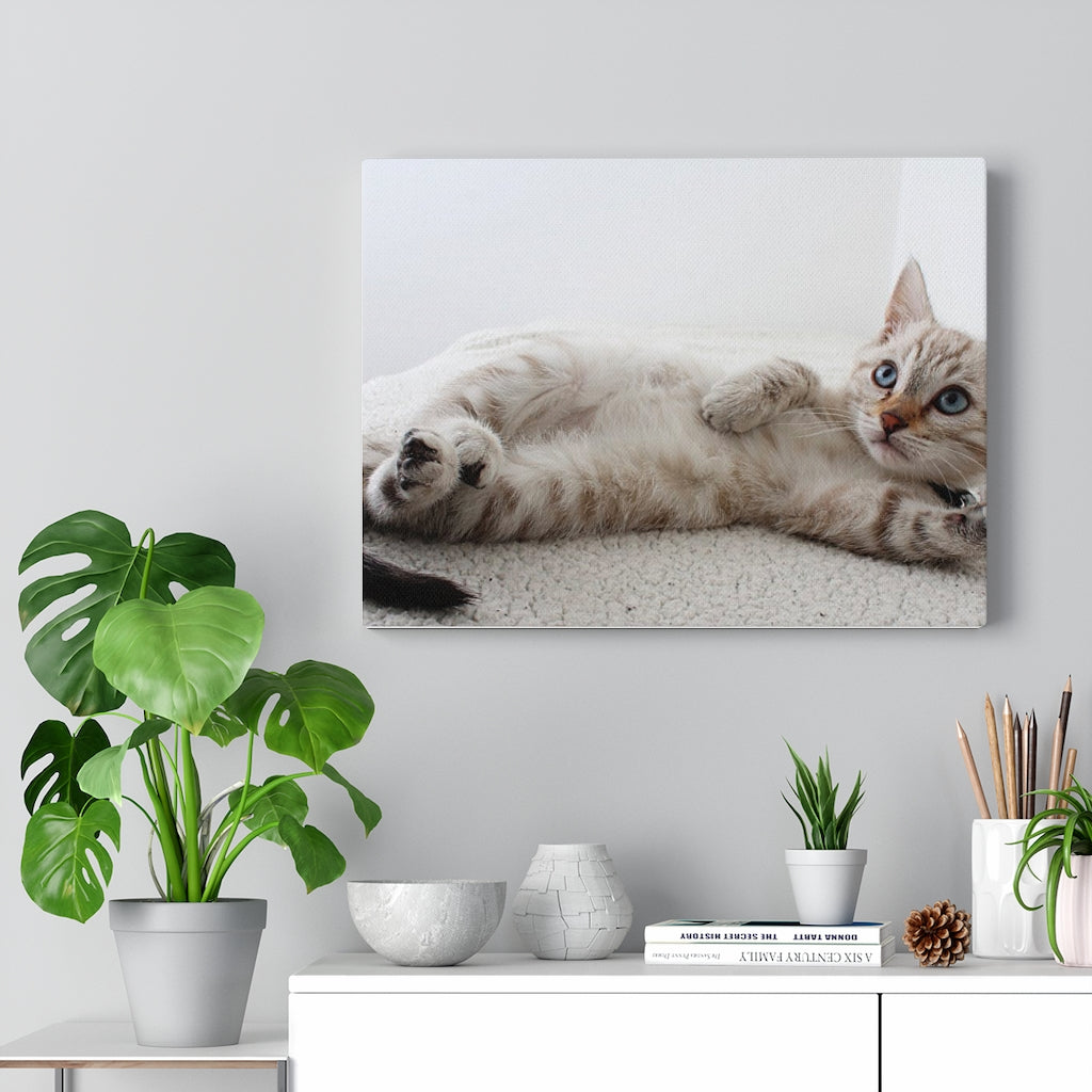 Charming Feline Canvas Wall Decor