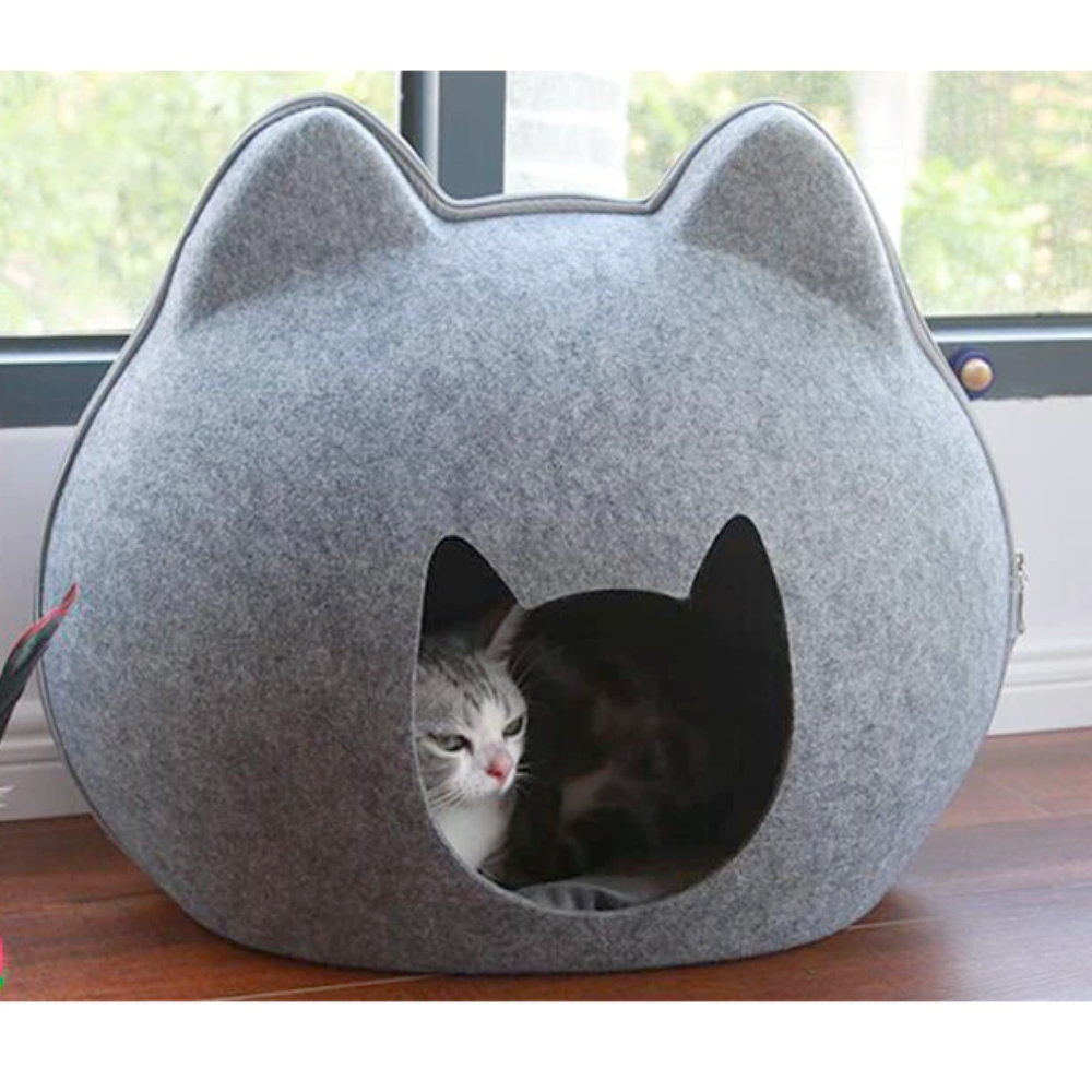 Pet Haven: Charming Feline-Shaped Shelter for Every Season
