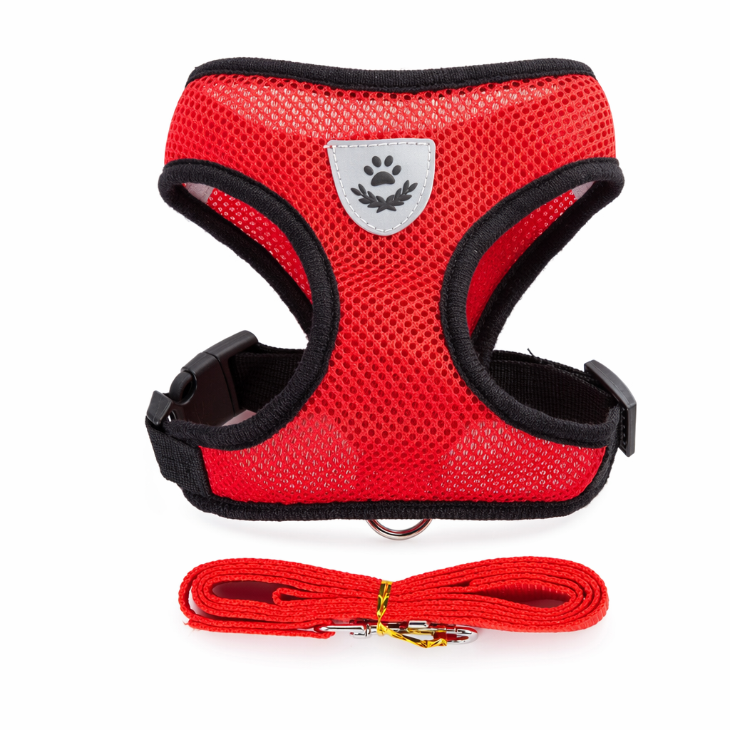 Adjustable Pet Harness with Leash: Ensuring Comfort and Control for Your Furry Friend Red