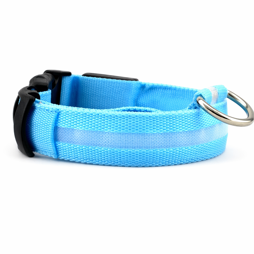 Nylon LED Dog Collar Set of 2 Blue
