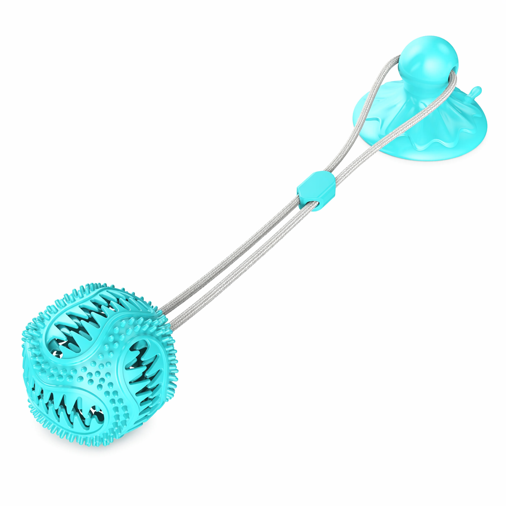 Suction Cup Dog Chew Toy Blue