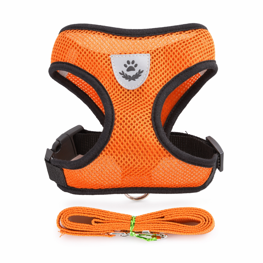 Adjustable Pet Harness with Leash: Ensuring Comfort and Control for Your Furry Friend Gold
