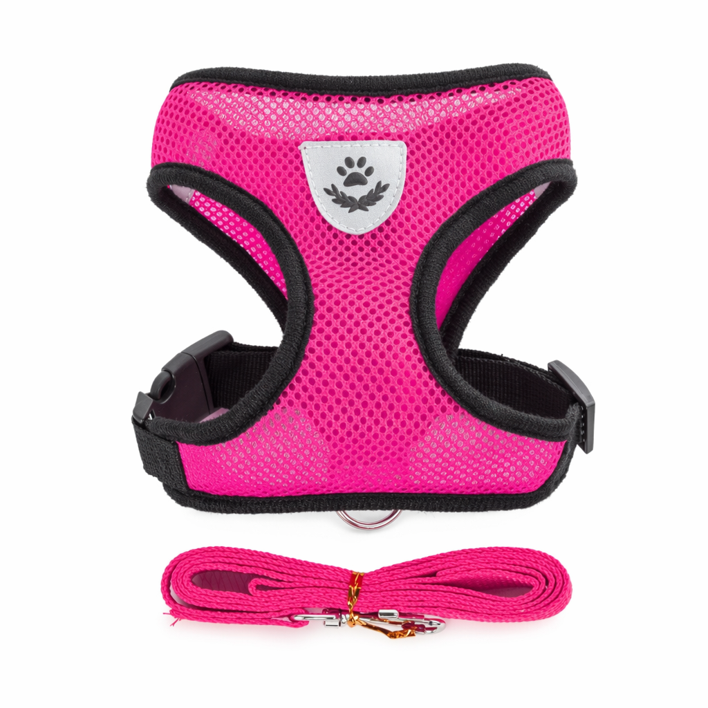 Adjustable Pet Harness with Leash: Ensuring Comfort and Control for Your Furry Friend Rose Red