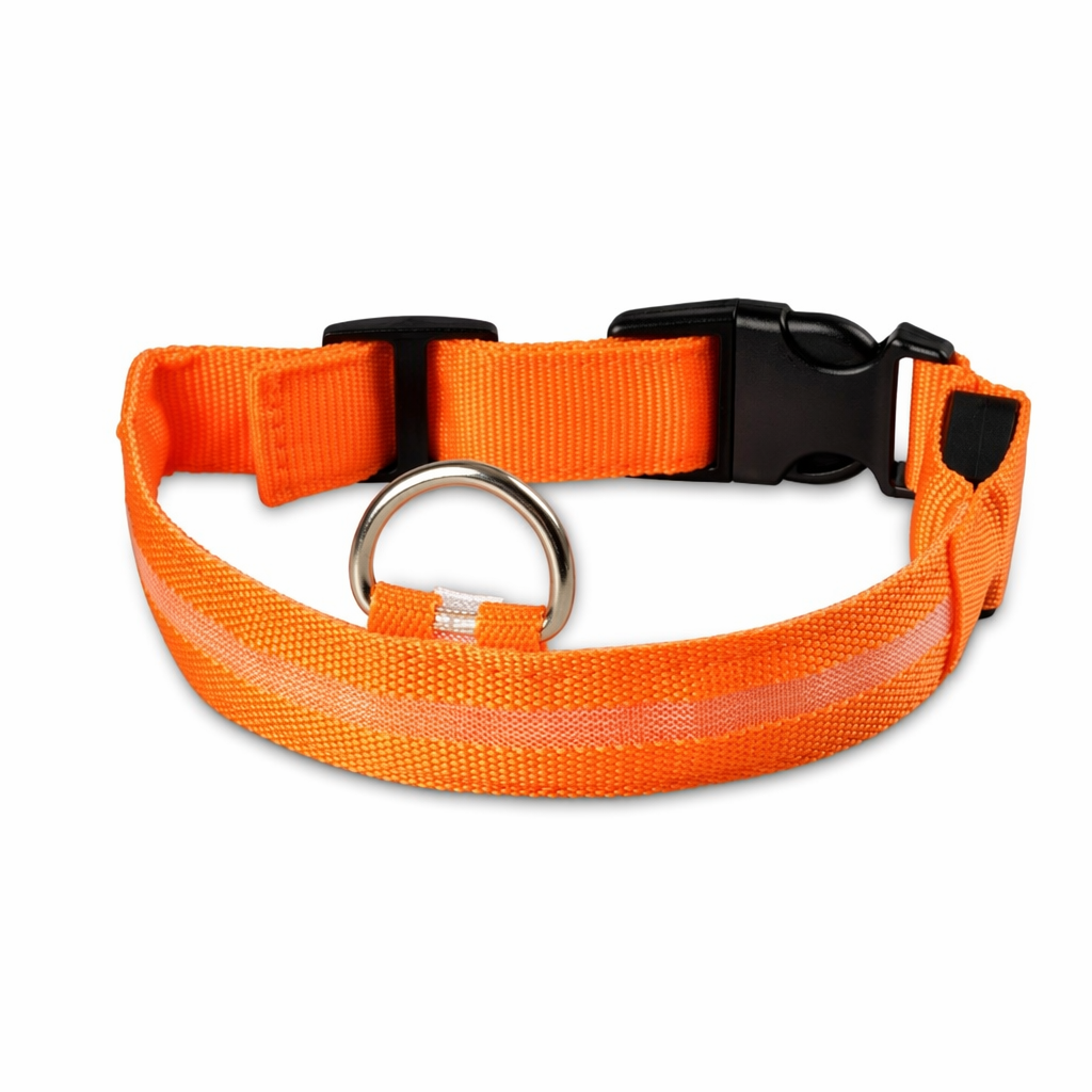 Nylon LED Dog Collar Set of 2 Orange