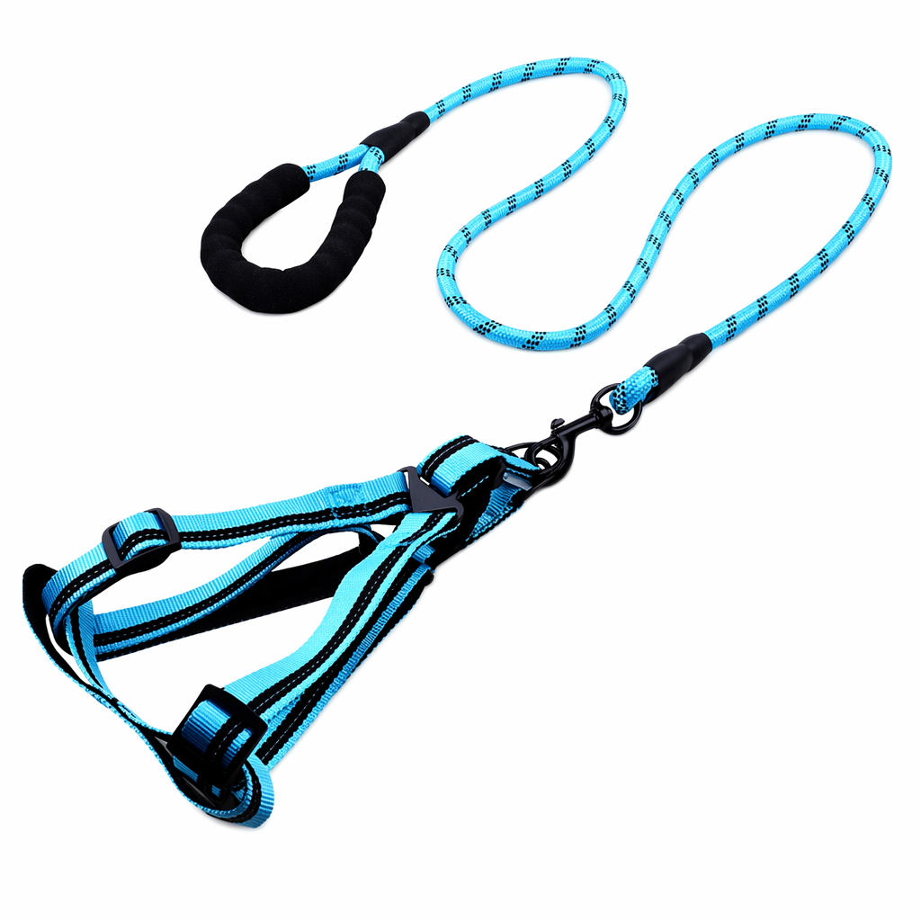 Padded Handle Comfort Dog Leash for Maximum Comfort BLUE