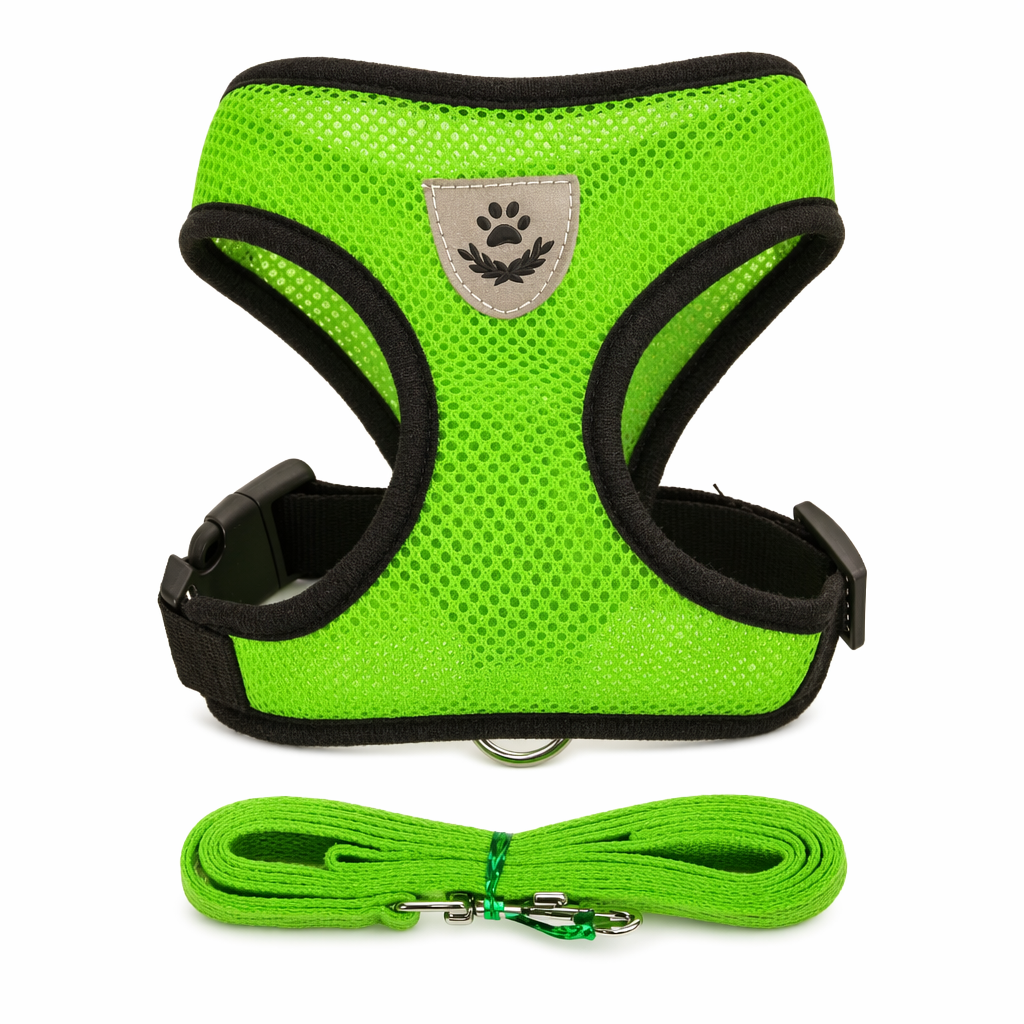 Adjustable Pet Harness with Leash: Ensuring Comfort and Control for Your Furry Friend Green