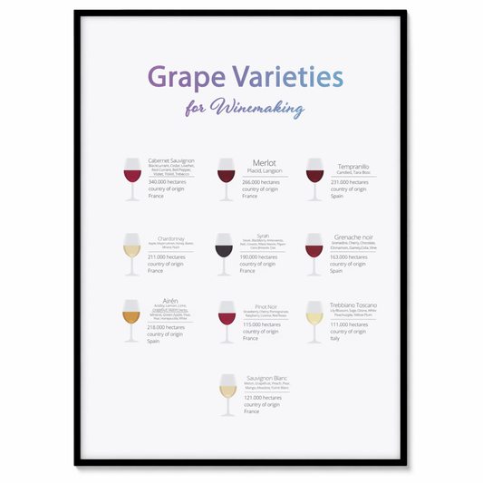 Decorate Your Room with a Poster Featuring Grape Types for Wine Production Default