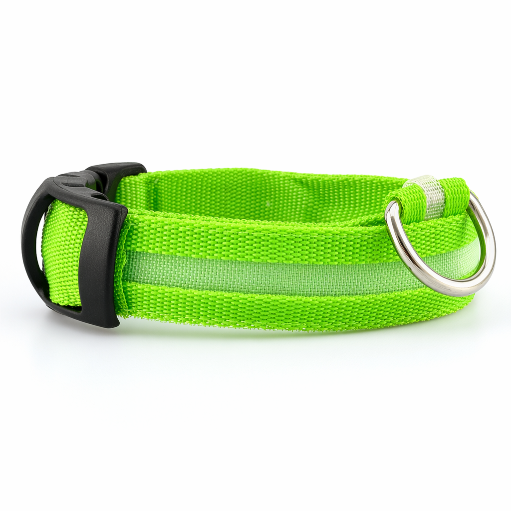 Nylon LED Dog Collar Set of 2 Green