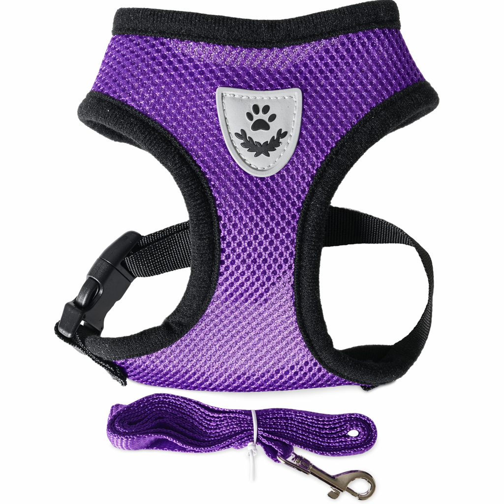 Adjustable Pet Harness with Leash: Ensuring Comfort and Control for Your Furry Friend Purple
