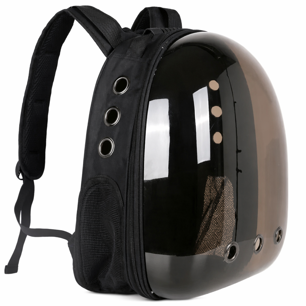 Transparent Cat Carrier with Enhanced Airflow Tea