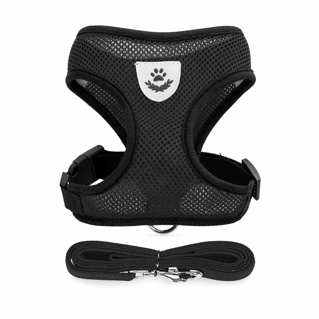 Adjustable Pet Harness with Leash: Ensuring Comfort and Control for Your Furry Friend Black