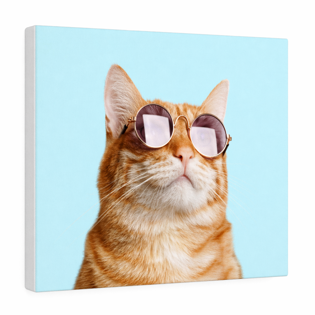 Feline Rules Canvas Gallery Wraps Wall Art Default