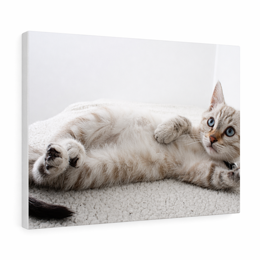 Charming Feline Canvas Wall Decor Default