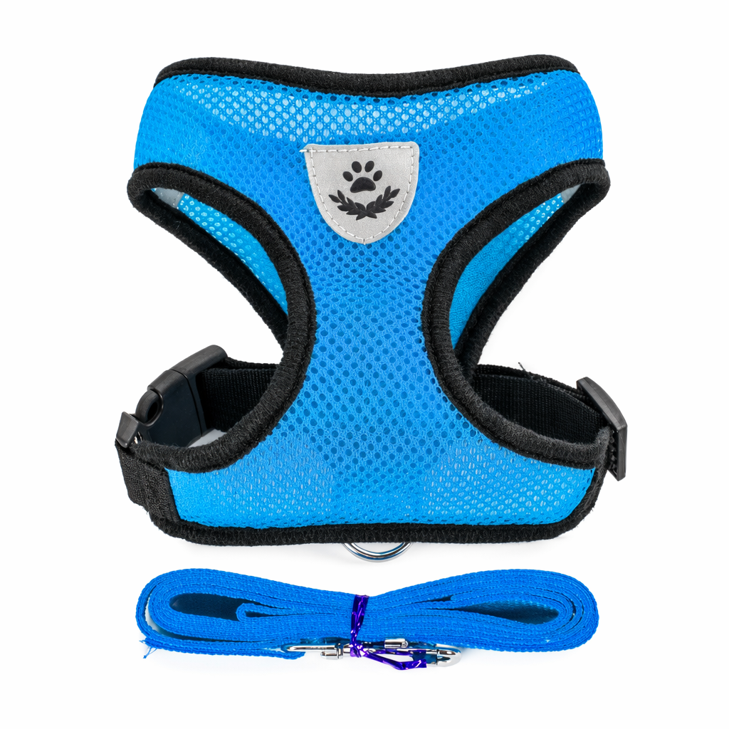 Adjustable Pet Harness with Leash: Ensuring Comfort and Control for Your Furry Friend Blue