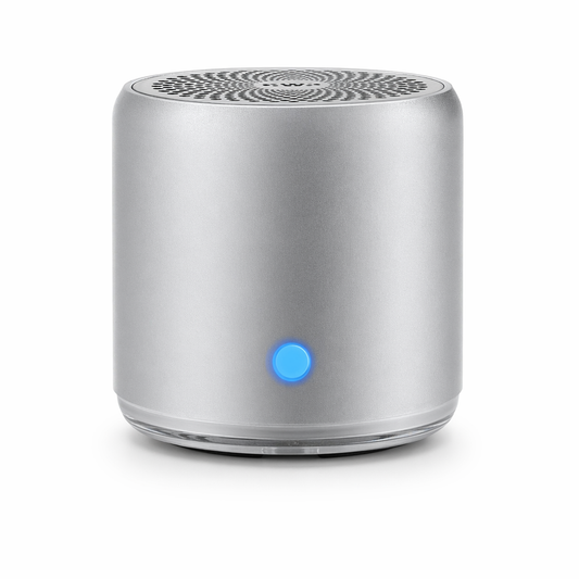Dragon ZS1 Portable Bluetooth Speaker - Waterproof and Compact Silver