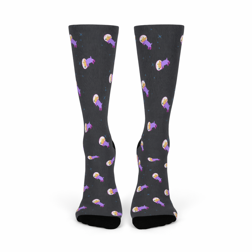 Space Adventure Dog Fun Socks Default