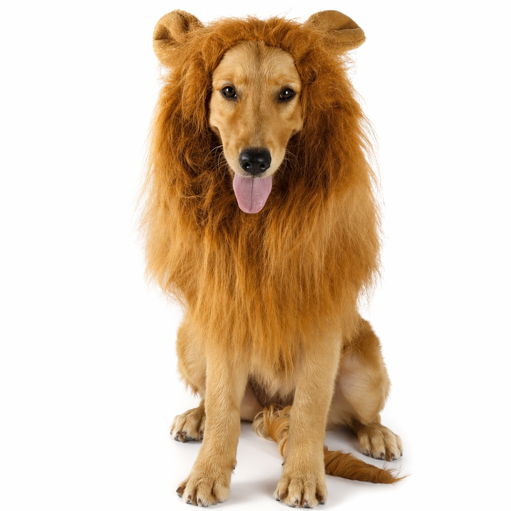 Lion Mane Canine Hairpiece Default