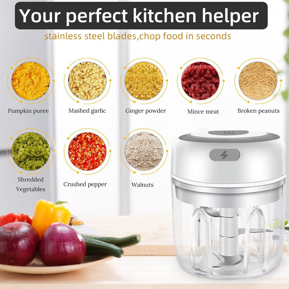 Mini USB Vegetable Chopper Portal