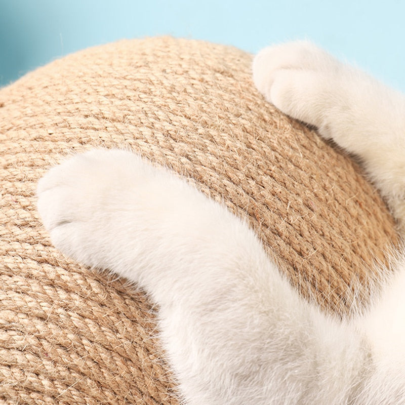Cat Playtime Essential: Interactive Scratching Toy Ball