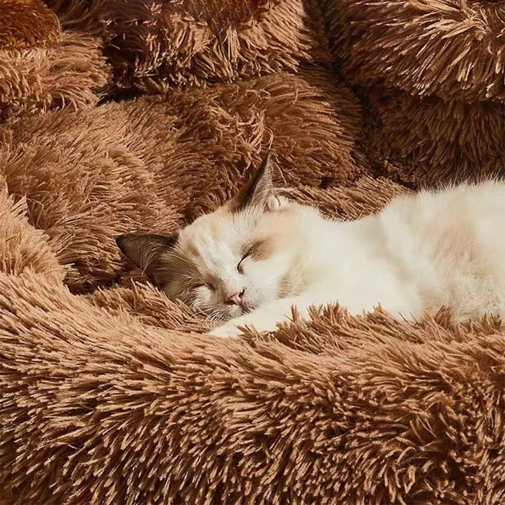 Sofa Bed for Pets' Paws