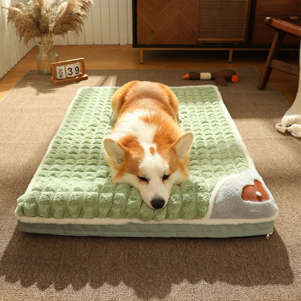 Pet Pillow Bed Combo