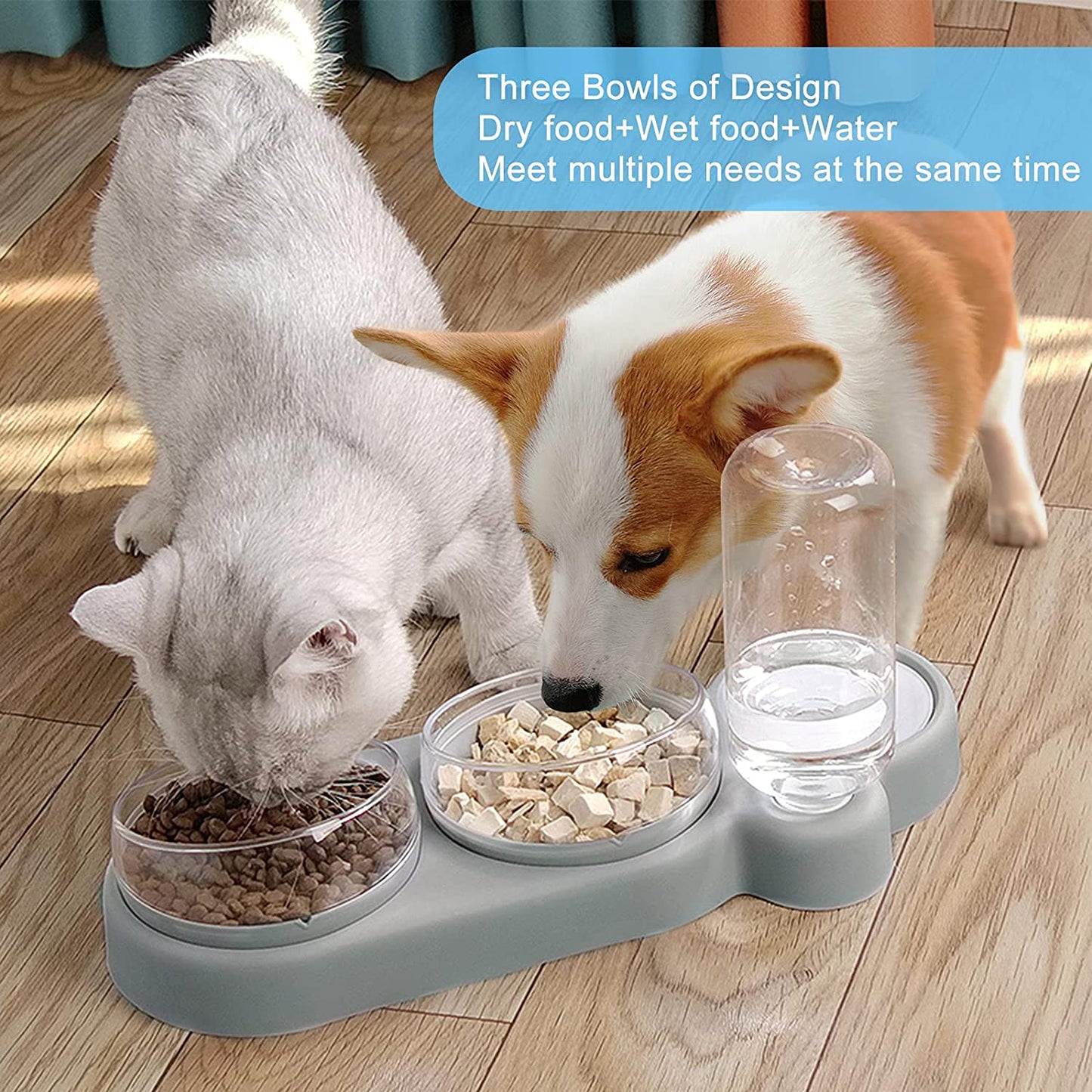 Automatic Tilted Pet Bowl Collection