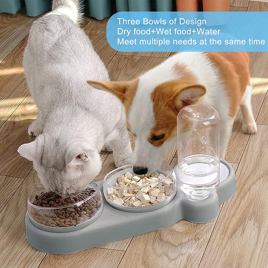 Automatic Tilted Pet Bowl Collection