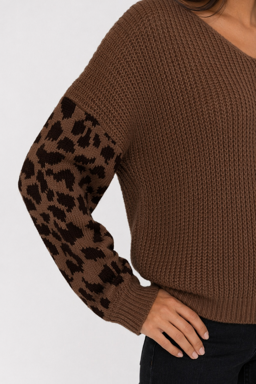 Leopard Print Sleeved Women's V Neck Sweater Brown