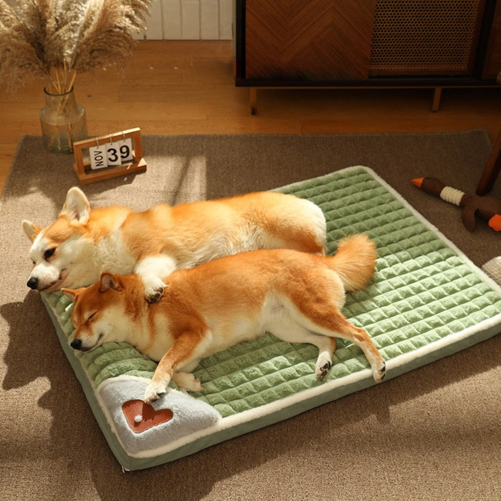 Pet Pillow Bed Combo