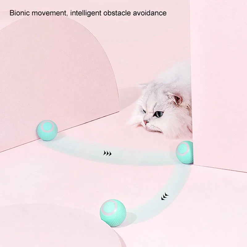 Rolling Cat Toy Ball - Electric and Entertaining