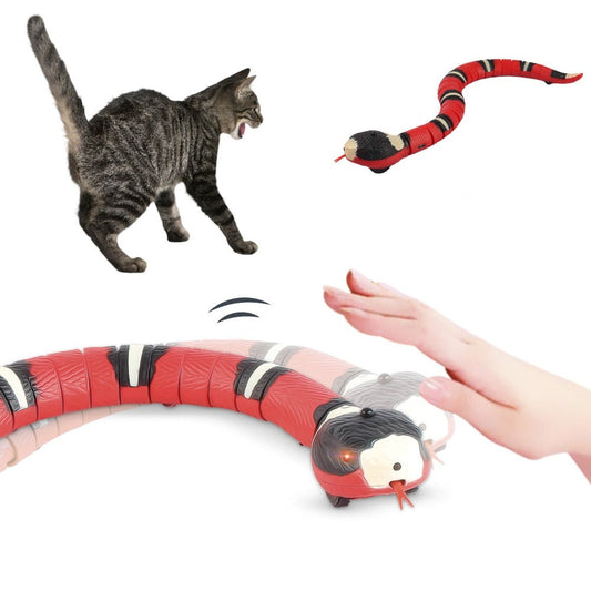 Snake Cat Toy, Electronic Entertainment for Feline Companions: red, black snake, cartoon style