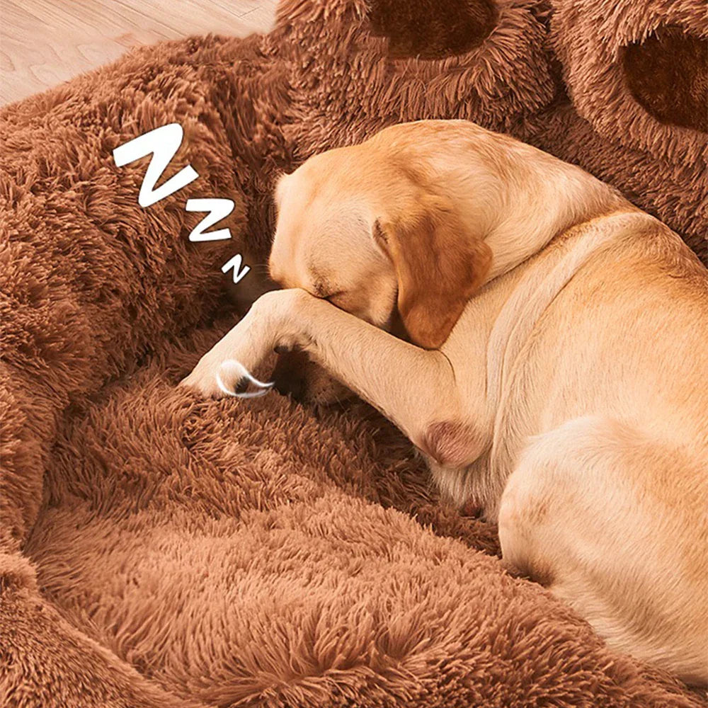 Sofa Bed for Pets' Paws
