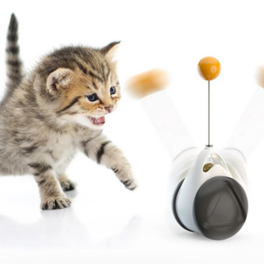 Swinging Ball Cat Tumbler: white, black kitten, modern playful style