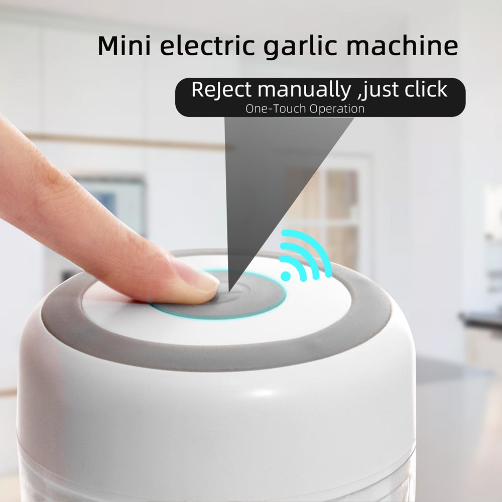 Mini USB Vegetable Chopper Portal