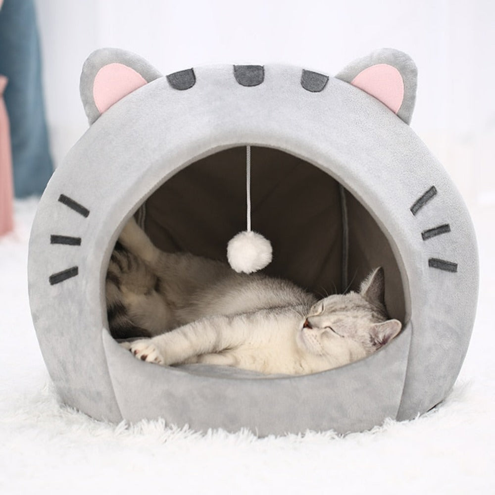 Pet House with Charming Feline Mouth Design