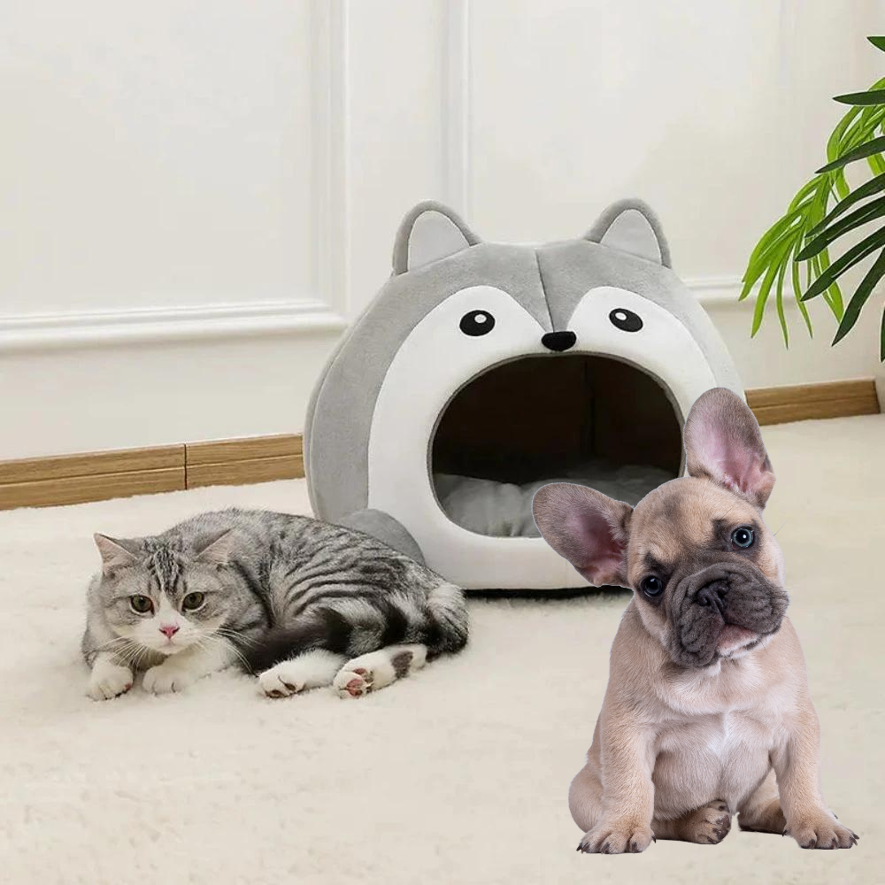 Pet House with a Cartoon Fox Design