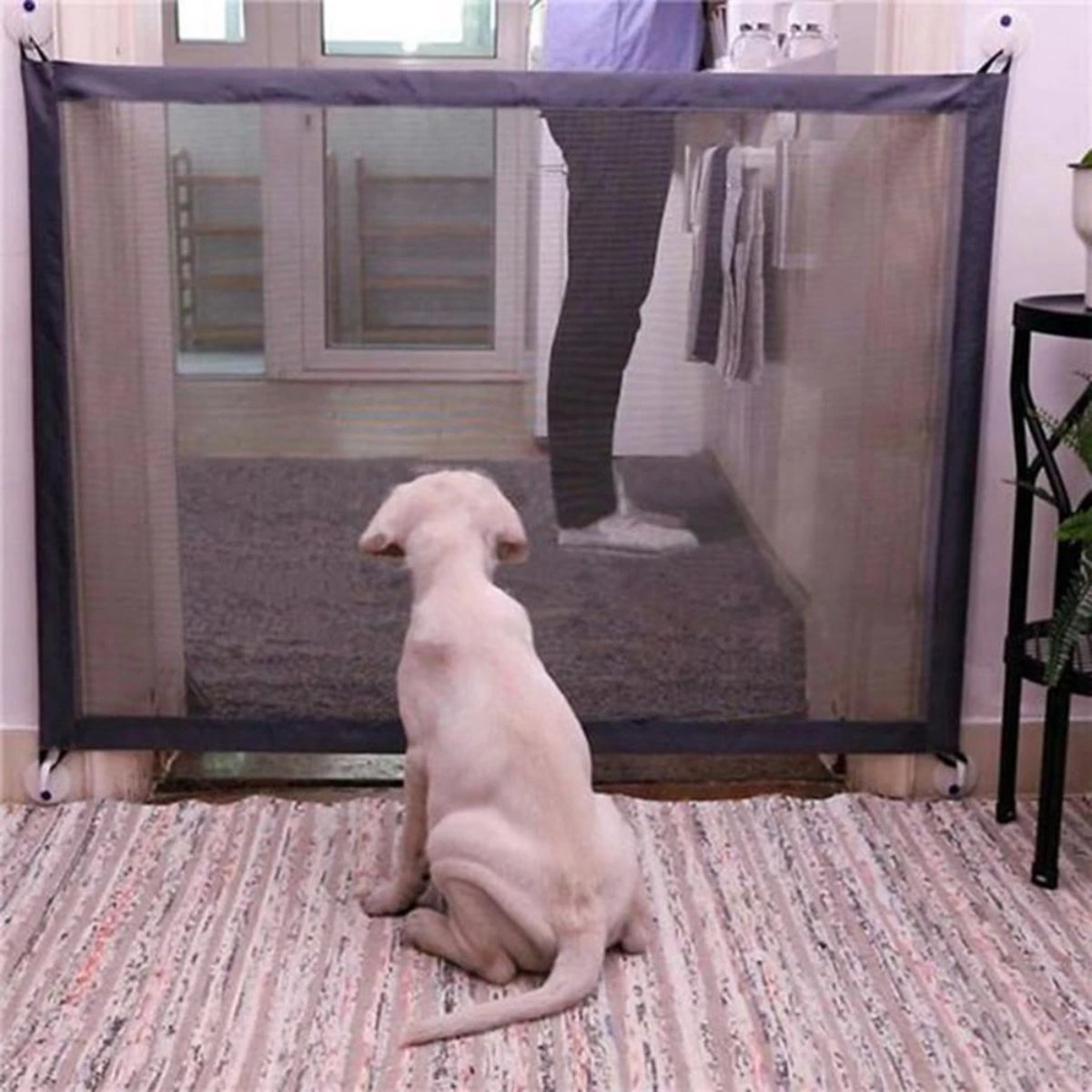 Mesh Pet Gate: Enhance Pet Safety in Style