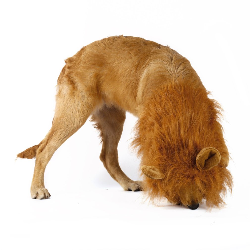 Lion Mane Canine Hairpiece