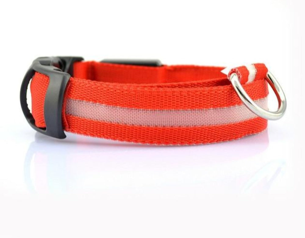 Nylon LED Dog Collar Set of 2