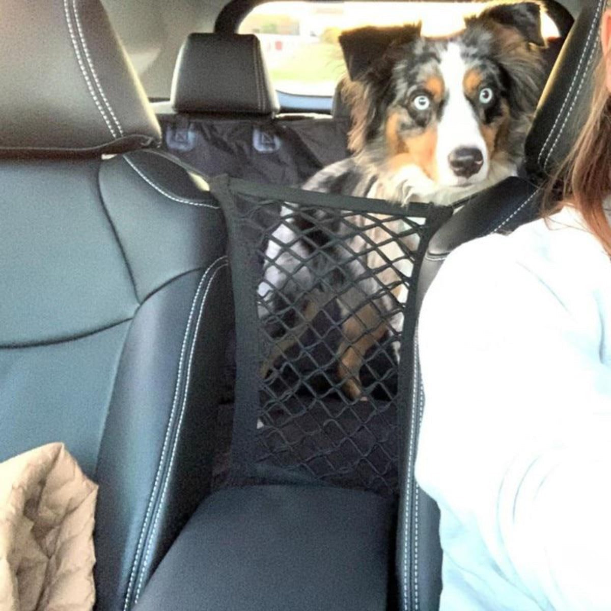 Car Pet Net Petitioner