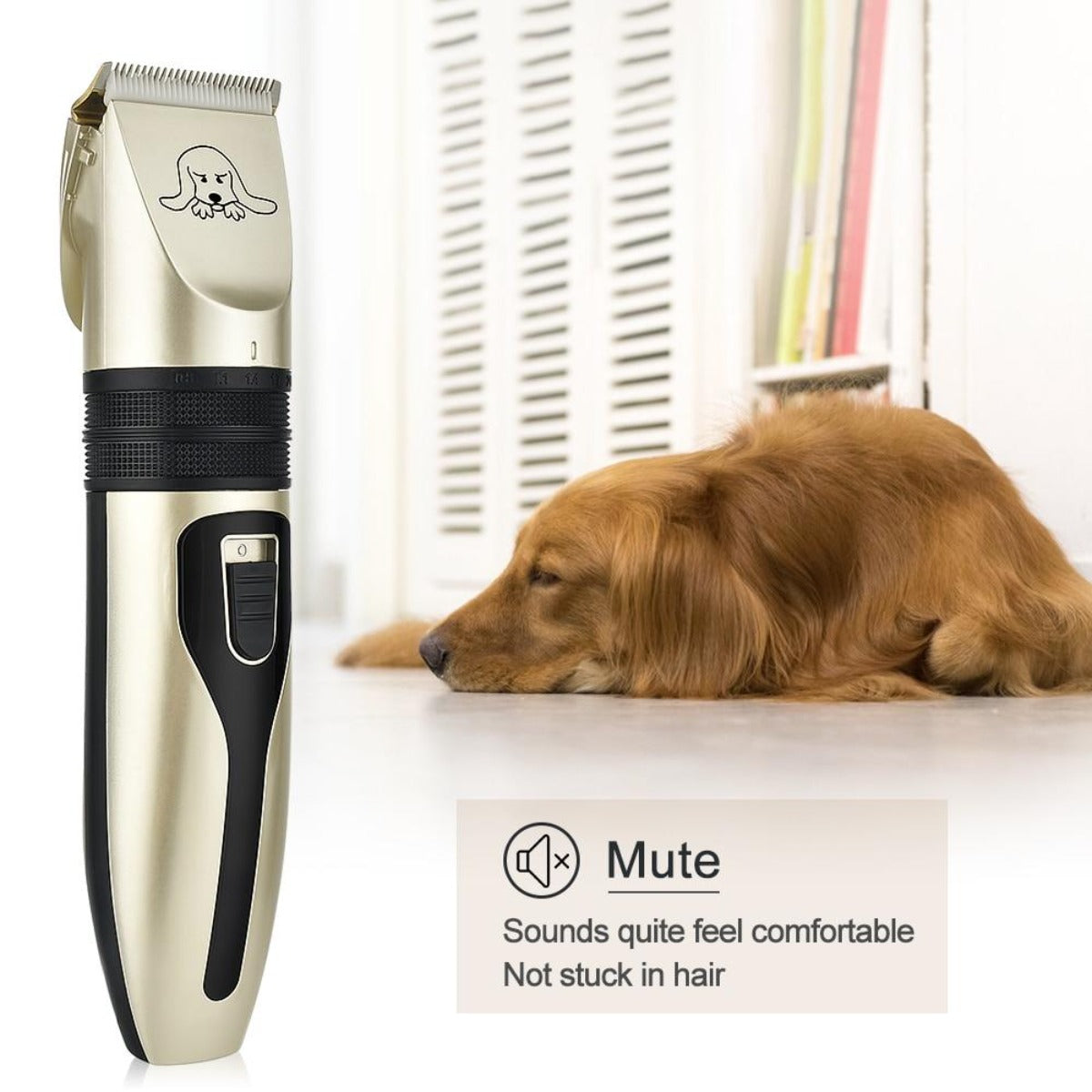 Pet Grooming Kit: Clarifying the Essentials