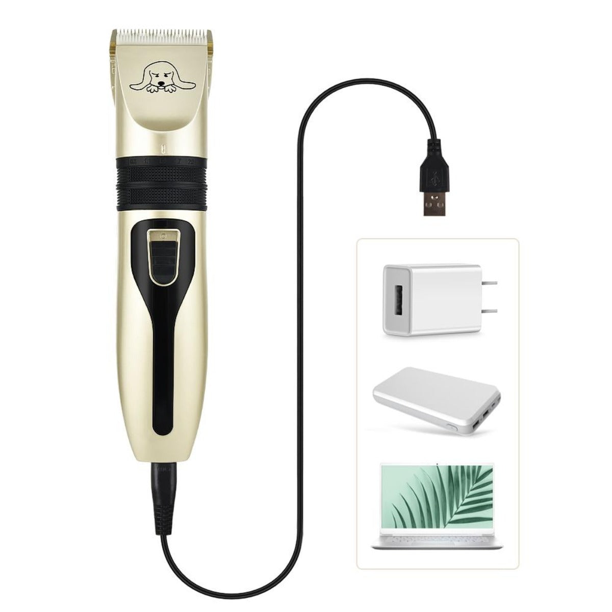 Pet Grooming Kit: Clarifying the Essentials