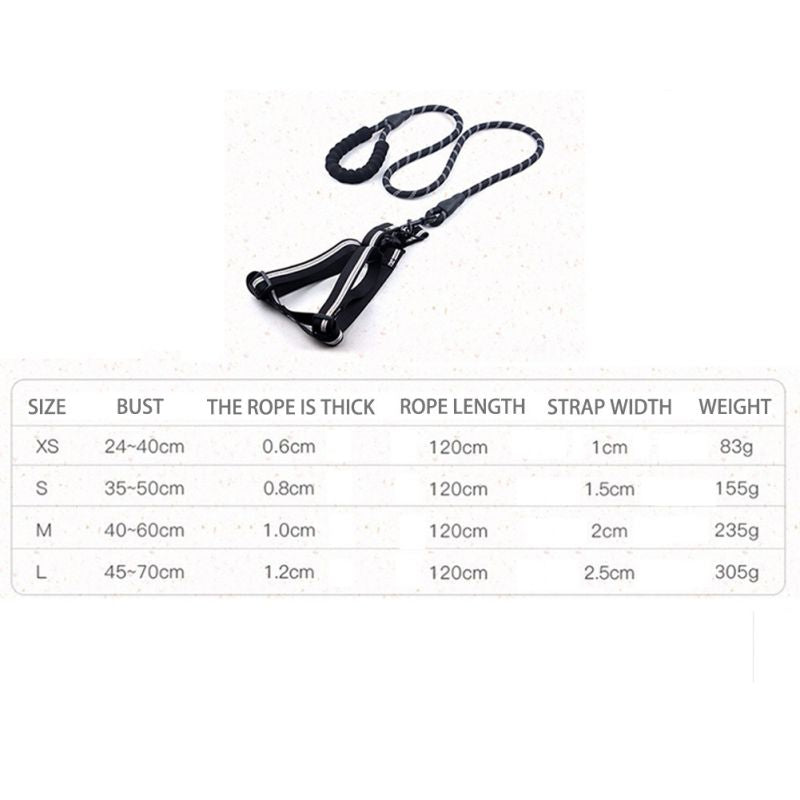 Padded Handle Comfort Dog Leash for Maximum Comfort