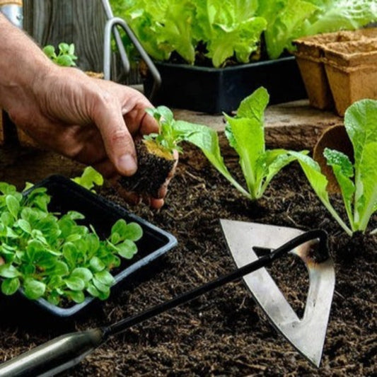 Steel Hand Rake for Planting - All-Metal Gardening Tool: silver, black hand gardening tool, practical garden tool style