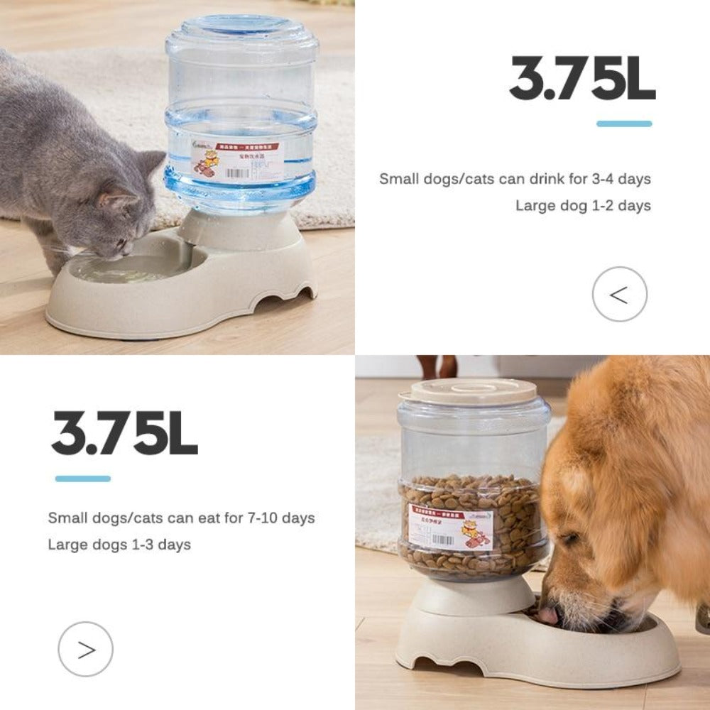 Pet Food Dispenser with 3.75L Capacity and Automated Dispensing