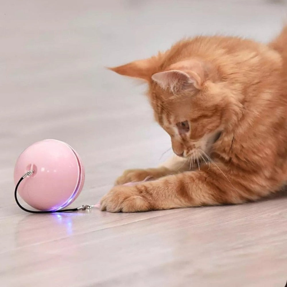 Feather LED Pet Ball with Illumination